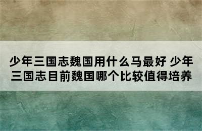 少年三国志魏国用什么马最好 少年三国志目前魏国哪个比较值得培养